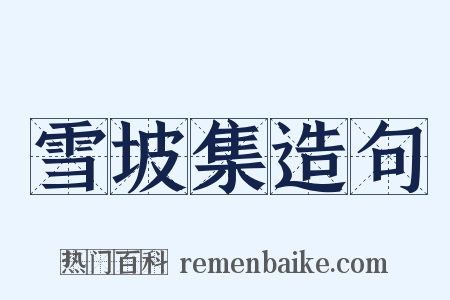 雪坡集造句是什么意思的图片